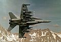 FA-18 Hornet VX-4 with 10 AMRAAM