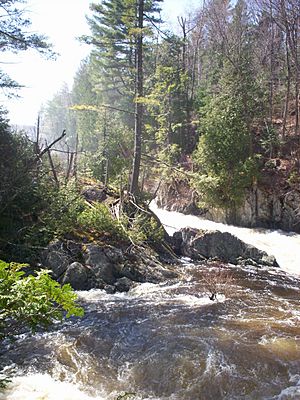 Franklin Falls on the Saranac River in the spring