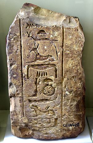 Limestone architectural fragment. A door jamb, part of a doorway. From the temple of Seth (which was built by Thutmosis III) at Naqada, Egypt. 18th Dynasty. The Petrie Museum