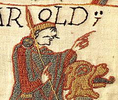 Bayeux tapestry stitches detail..jpg