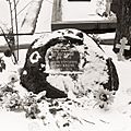 Bulgakov Grave April 2015