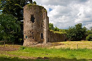 Castles of Munster, Kilbolane, Cork - geograph.org.uk - 1392690