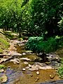 Creek at Municipal Park Opelika, AL