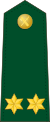 Spain-Civil Guard-OF-1b.svg
