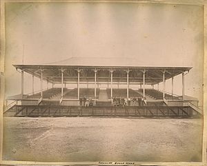 StateLibQld 1 242354 Grandstand at the Townsville race track