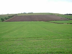 Flodden Field (Braxton) - 2004-Feb-06 - Looking SSE from the monument.jpg