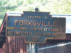 Official logo of Forksville, Pennsylvania
