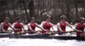 Rutgers Rowing Men's Varsity Eight