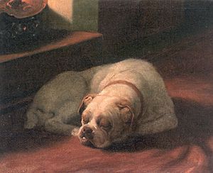 Arthur Heyer - Bulldog Sound Asleep
