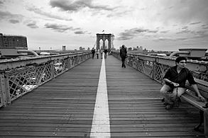 Bridging Brooklyn (2553059935)