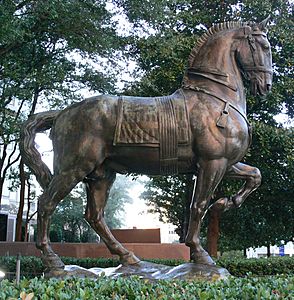 Dallas Crow Center 15 Bourdelle Horse for Alvear monument 1