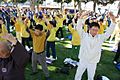Falun Dafa the second exercise, standing meditation