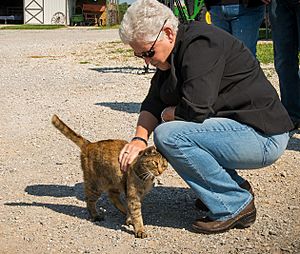 Gina McCarthy, Administrator of the Environmental Protection Agency, in Missouri (2014)