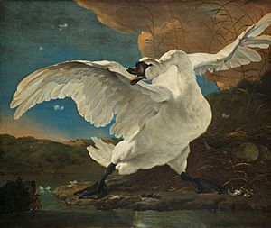 Jan Asselijn - De bedreigde zwaan; later opgevat als allegorie op Johan de Witt - Google Art Project