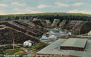 Log Pile of the Great Northern Paper Co., Millinocket, ME