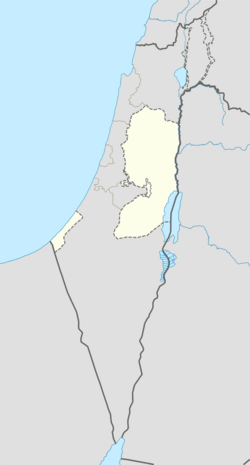 Hisham's Palace is located in the Palestinian territories