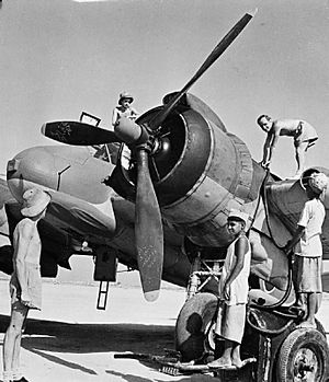 Royal Air Force in the Middle East, 1944-1945. CM6016