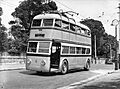 Sydney trolleybus number 4 - 19361229.jpg