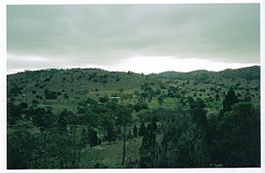 View over Wyangala 18 May 2003