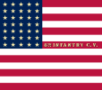 8th California Infantry Regiment flag