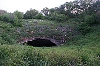 Bracken Bat Cave by day and night