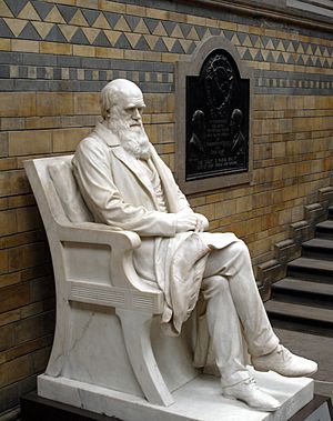 Charles Darwin statue 5665r
