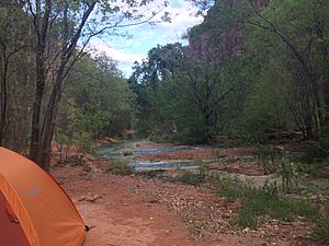Havasu Creek Campground