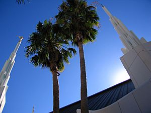 Las Vegas Temple 2