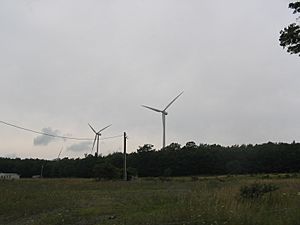 Mount Storm Wind Farm