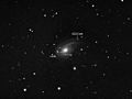 NGC772 SN2003hl SN2003iq 6223 Dahl