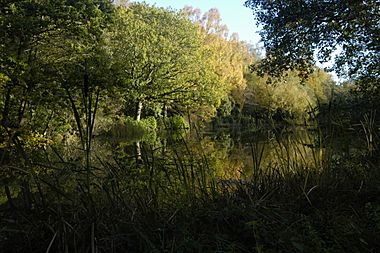 Brown's Pond at Sandleford, Berkshire. Designed by and named after Lancelot Brown
