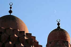 Damascus domes