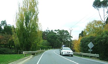 North east road, houghton, heading into city.jpg