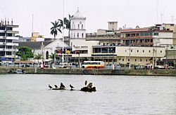 Skyline of Tuxpan from the river