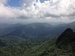 View direction Dos Picachos from El Pico in El Yunque National Forest