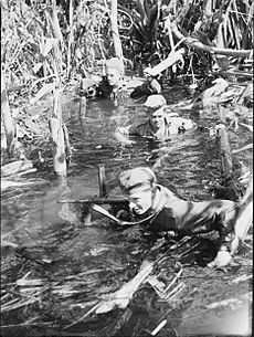 AWM 078546 Australian 42nd Battalion patrol on Bougainville