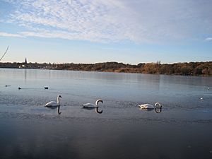 Brent Reservoir from Neasden Recreation Ground