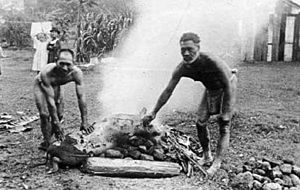 Hawaiians roasting pig for luau, c. 1890