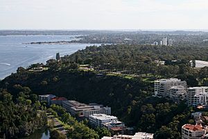 Kings Park from QV.1