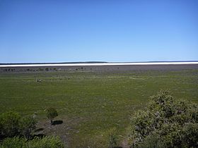 A flat expanse of very short vegetation with some low shrubs in the foreground and a horizontal line of pale sand in the far distance under a cloudless sky
