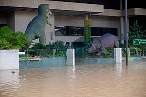 Queensland Museum precinct flooded