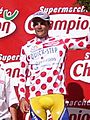 Richard Virenque - Tour de France 2003 - Alpe d'Huez (cropped)