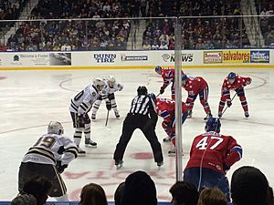 Rochester Americans 60th Anniversary Game