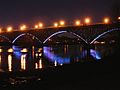 Schuylkill bridge night