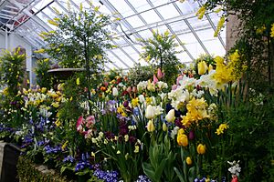 Smith botanic garden greenhouse