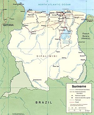 Suriname1991 Karte umstrittene Gebiete