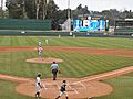 UCLA baseball 2013