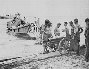 USA-P-Papua-p170 AUSTRALIAN 3.7 INCH PACK HOWITZER is dismantled before being loaded on a Japanese motor-driven barge which was captured at Milne Bay. milner