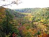 Clear Fork Gorge from Mohican State Park Gorge Overlook.jpg