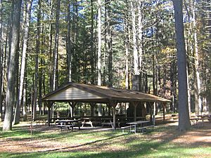 Hyner Run State Park Picnic Shelter